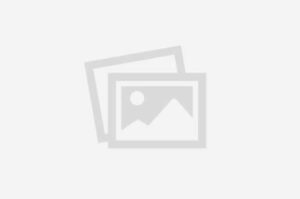 img-placeholder