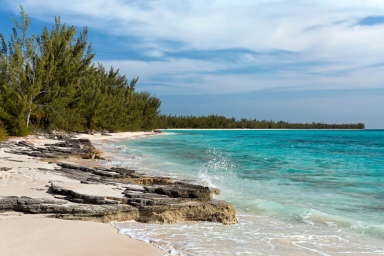 Spray,From,A,Wave,Crashing,Along,A,Rocky,Shoreline,In