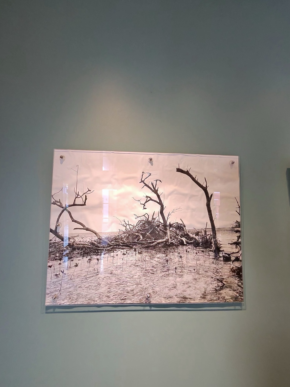 An Archipelagic Vision: Renewal 61 Canal House 06
