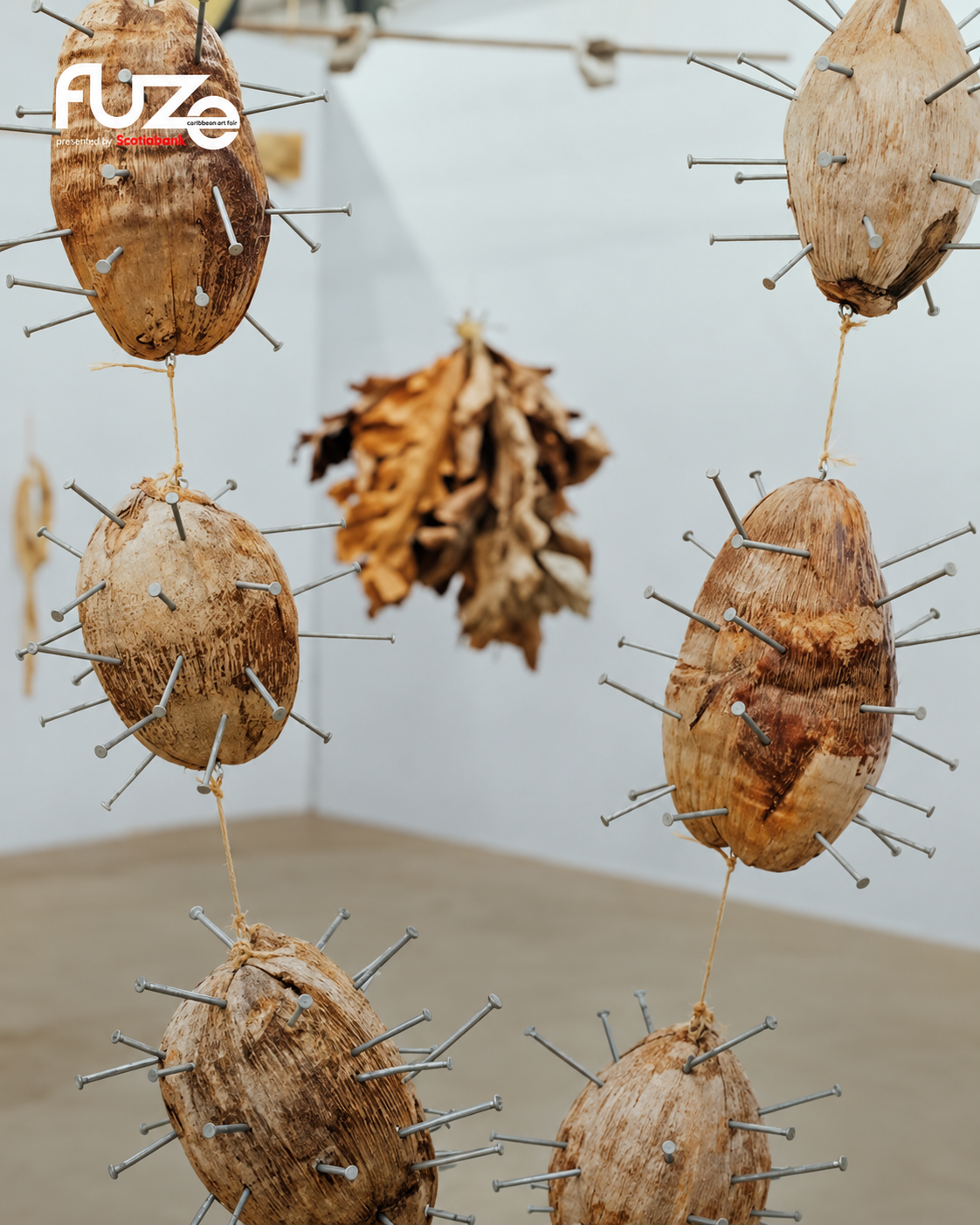FUZE Is Coming Home 28 Hanging coconuts at Caribbean art fair 3